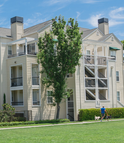 apartment building man walking dog