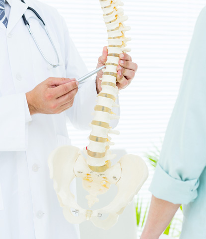 doctor pointing anatomical spine