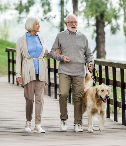 smiling senior couple walking with golden retriever dog in park